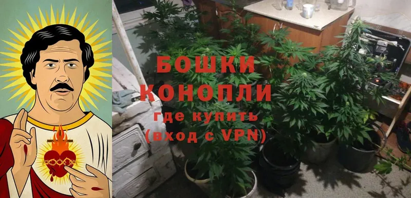 сколько стоит  Белая Холуница  Марихуана THC 21% 